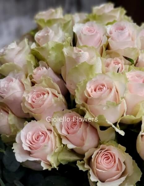 Rose colore rosa SENZA CONFEZIONE per numero di steli.